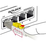 DeLOCK Patchkabel RJ-45 Secure met Cat.6a Wit, 85331, 1 meter