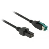 DeLOCK PoweredUSB kabel male 12 V > 2 x 4 pin male voor POS printers en terminals Zwart, 2 meter