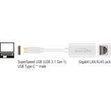 DeLOCK SuperSpeed USB-C (USB 3.1 Gen 1) male > Gigabit LAN 10/100/1000 Mbps compact adapter Wit, 0,135 meter