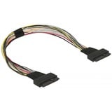 DeLOCK U.2 SFF-8639 female > U.2 SFF-8639 female kabel 50 cm