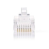 Diverse Netwerkconnector RJ45 Male - Voor Stranded Cat5 UTP-Kabels, 10 Stuks stekker Transparant