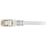 Sharkoon Netwerkabel SFTP, RJ-45 met Cat.6 Grijs, 2 meter