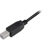 Sharkoon USB-A 2.0 > USB-B kabel Zwart, 0,5 meter
