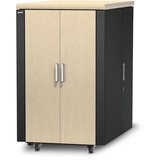 APC NetShelter CX 24U server rack beige/grijs