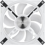 Corsair iCUE QL140 RGB case fan Wit, 4-pins PWM fan-connector