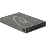 DeLOCK 2x mSATA SSD > USB 3.1 Gen 2 USB Type-C female met RAID externe behuizing Grijs, USB-C 3.2 (10 Gbit/s)