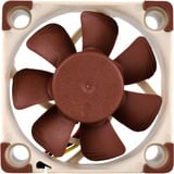 Noctua NF-A4x10 FLX case fan Bruin/wit