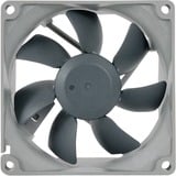 Noctua NF-R8 redux 1200 case fan 3-pin aansluiting