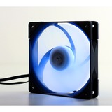 Scythe Kaze Flex PWM RGB 1200 case fan 