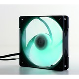 Scythe Kaze Flex PWM RGB 800 case fan 