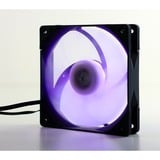 Scythe Kaze Flex PWM RGB 800 case fan 