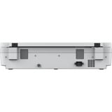 Epson WorkForce DS-50000 flatbedscanner Wit/grijs, A3, A4, A5, A6, B5