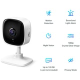 TP-Link Tapo C100 netwerk camera Wit, 1080p, WLAN