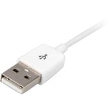 DeLOCK VGA (male) + USB-A (male) naar HDMI (female) adapter Wit, 0,25 meter