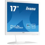 iiyama ProLite B1780SD-W1 17" Monitor Wit, VGA, DVI-D