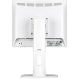 iiyama ProLite B1780SD-W1 17" Monitor Wit, VGA, DVI-D