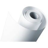 Epson Premium Semigloss Photo Paper Roll, 250g/m² papier 16" x 30,5 m