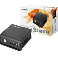 GIGABYTE BRIX GB-BMPD-6005 barebone Zwart | Pentium N6005 | UHD Graphics 605