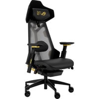 ASUS ROG Destrier Edition 20 gamestoel Zwart/goud