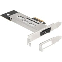 DeLOCK Mobile Rack PCI Express-kaart voor 1x M.2 NMVe SSD interface kaart 47028