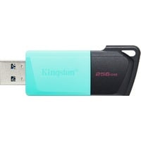 Kingston DataTraveler Exodia M 256 GB usb-stick Turquoise/zwart, USB-A 3.2 Gen 1