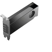 PNY NVIDIA RTX PRO 2000 Blackwell Generation 16GB PB grafische kaart 4x Mini-Display Port 2.1, Bulk