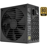 Fractal Design Ion Gold 550W voeding  Zwart, 2x PCIe, Kabel-management