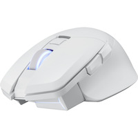 PowerColor ALPHYN AM10 Wireless Gaming Mouse Wit, 100 - 26000 DPI, 8K, RGB, USB / 2.4G / Bluetooth 5.2