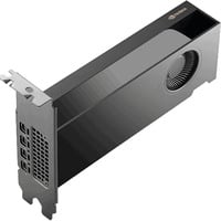 NVIDIA® RTX PRO 2000 Blackwell grafische kaart GDDR7 ECC, 4x Mini-DisplayPort