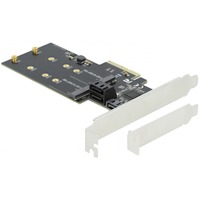 DeLOCK 3 Port SATA en 2 slot M.2 key B PCI Express x4 Card Low Profile interface kaart 