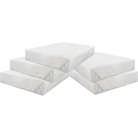 Canon White Label A4 Papier 80 gr, 5-pack 5 stuks