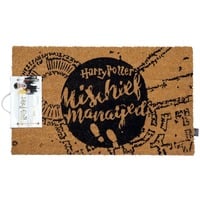SD Toys Harry Potter: Mischief Managed 60 x 40 cm Doormat deurmat 