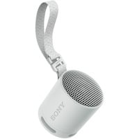 Sony SRS-XB100 draagbare draadloze speaker luidspreker Grijs, Bluetooth 5.3