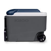 Igloo Maxcold 40R, 38 liter koelbox Grijs