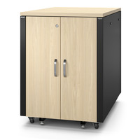 APC NetShelter AR4017IA, 17U server rack Houtkleur/zwart, 75(b) x 100,5(h) x 113,04(d) cm, geluiddicht