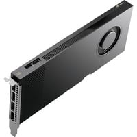 NVIDIA® RTX PRO 4000 Blackwell grafische kaart 4x DisplayPort, Bulk