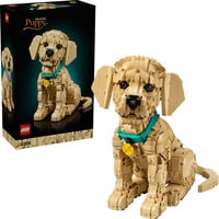 LEGO  Constructiespeelgoed 