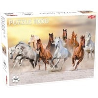 Tactic Puzzel Animals: Wild Horses 1000 stukjes