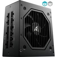 Sharkoon Rebel P20, 1000 Watt voeding Zwart, 4x PCIe, 1x 12VHPWR, Kabelmanagement