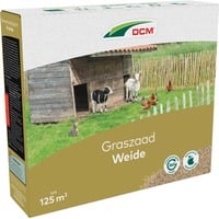 DCM Graszaad Weide 1,5 kg zaden Tot 125 m²