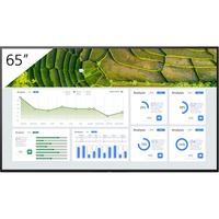 Sony FW-65BZ30L 65" 4K Ultra HD Public Display Zwart, HDMI, USB, LAN, WLAN, Android TV