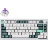 Keychron Q1 HE-P1 RGB mechanisch toetsenbord Wit, US lay-out (QWERTY), Gateron Double-Rail Magnetic Nebula, 75%, Hot-swappable, RGB leds, OSA Double-shot PBT keycaps, USB-C | 2.4 GHz | Bluetooth, Knob