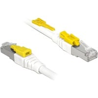 DeLOCK Netwerkkabel RJ-45 Secure met Cat.6a Wit, 85335, 5 meter