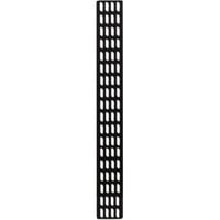 DSI 18U verticale kabelgoot - DS-CABLETRAY-18U kabelkanaal Zwart