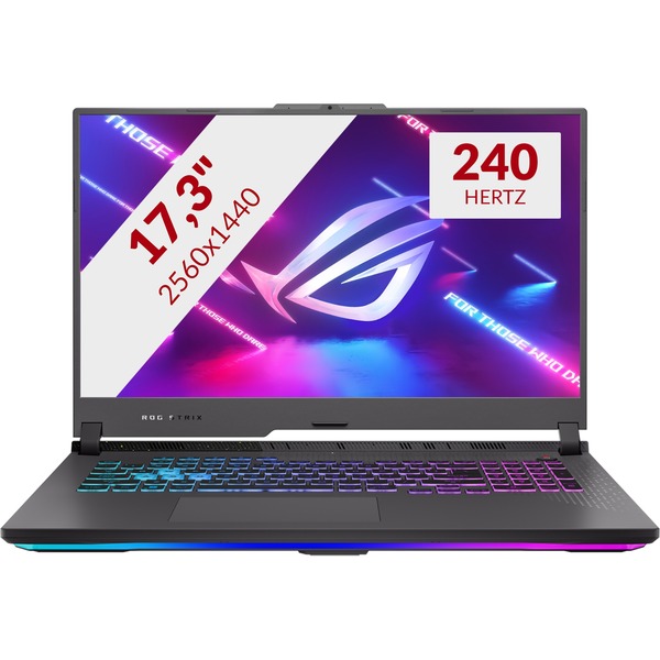 ROG Strix 17 G713PI-LL066W 17.3" gaming laptop Grijs | Ryzen 9 7845HX |