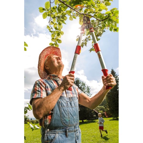 WOLFGarten Takkenschaar POWER CUT*** RS 900 T Rood/grijs