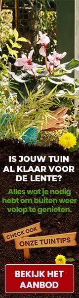 Skyscraper (Links) - Tuin-Klussen  voordeel