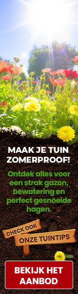 Skyscraper (Links) - Tuin-Klussen  voordeel