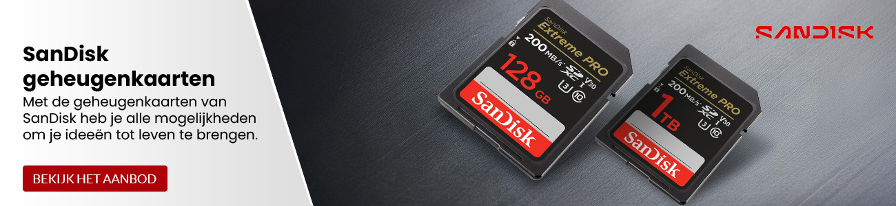 SanDiks geheugenkaarten
