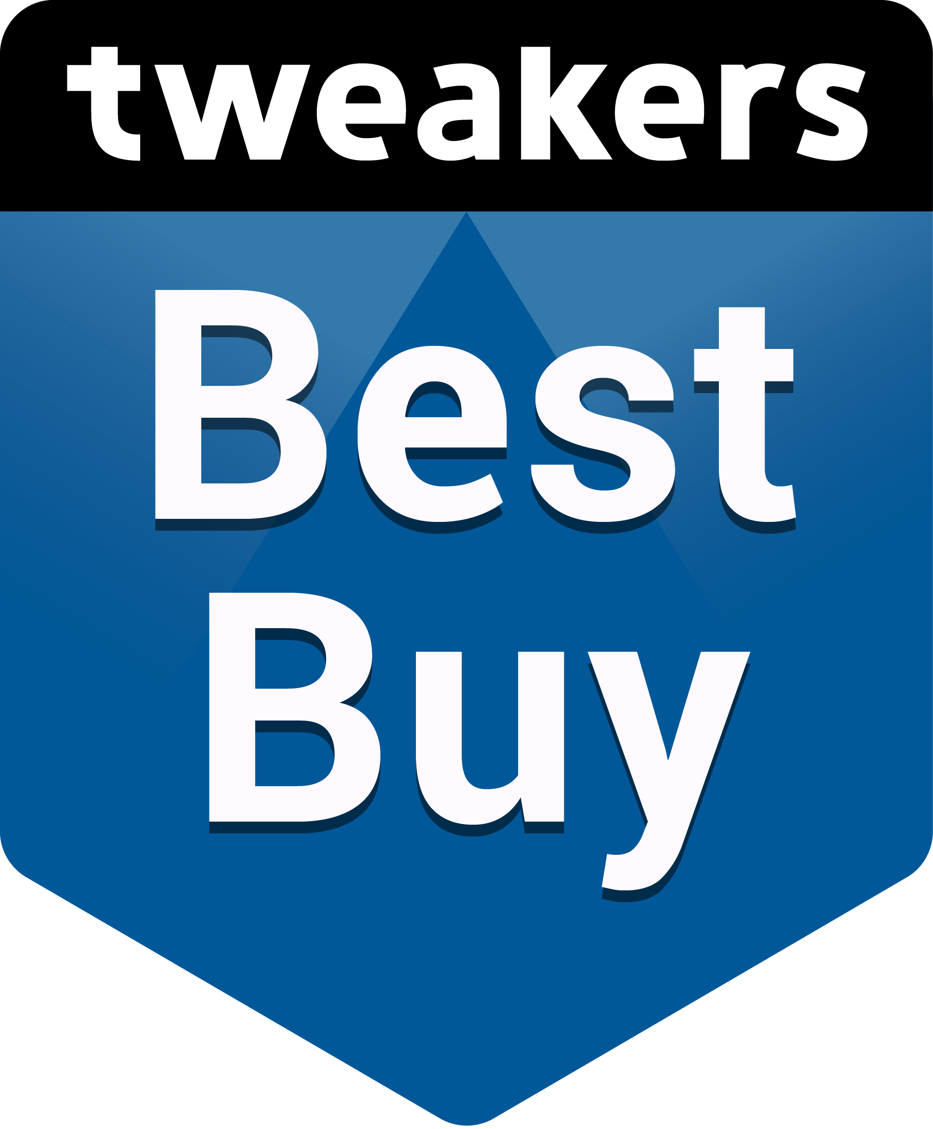 Best Buy Award